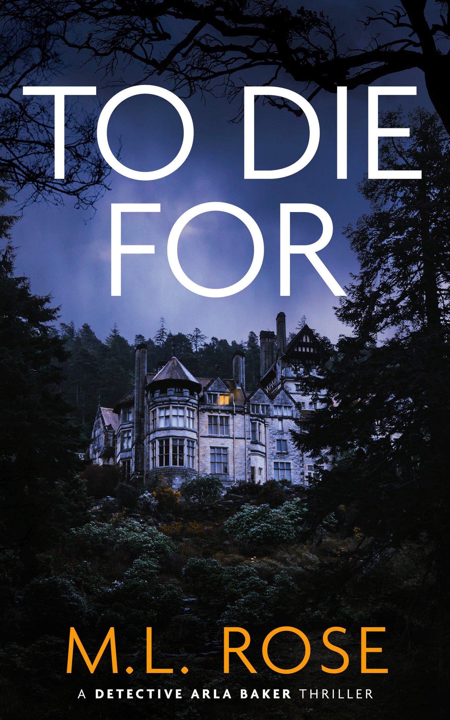 To Die For: A London Crime Thriller (Detective Chief Inspector Arla Baker Series Book 11)